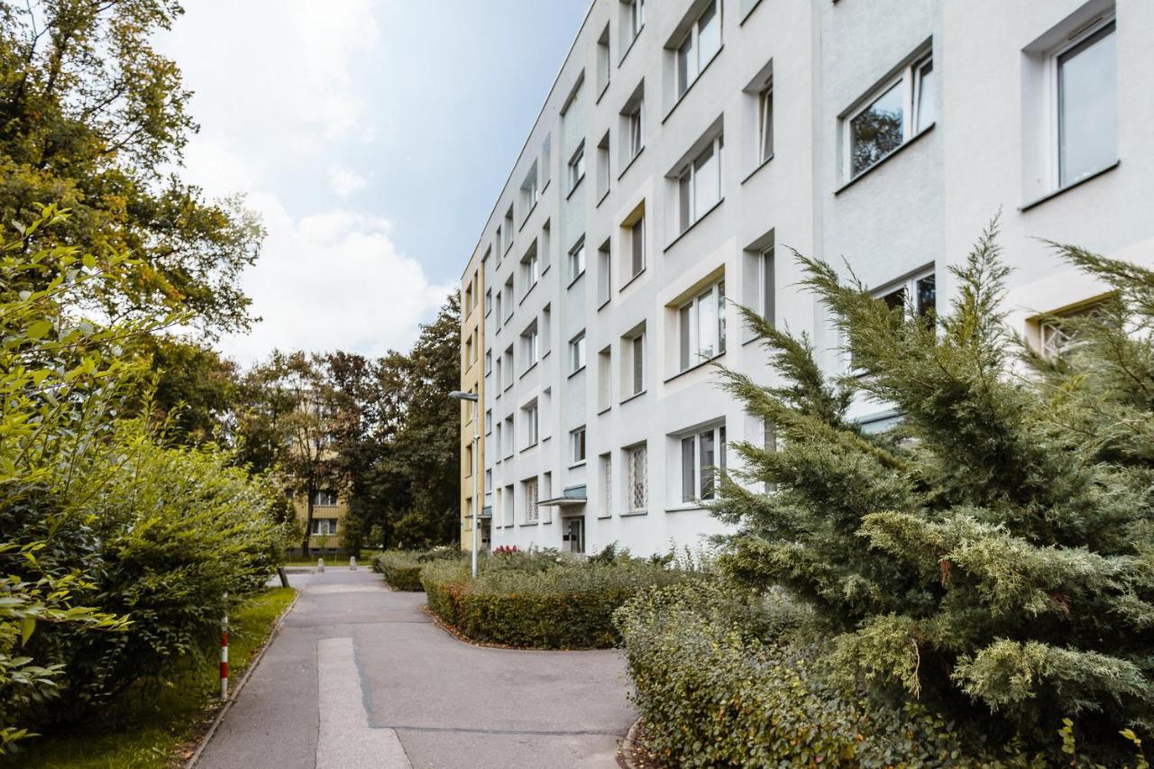 Apartment Comfy & Spacious By Renters *